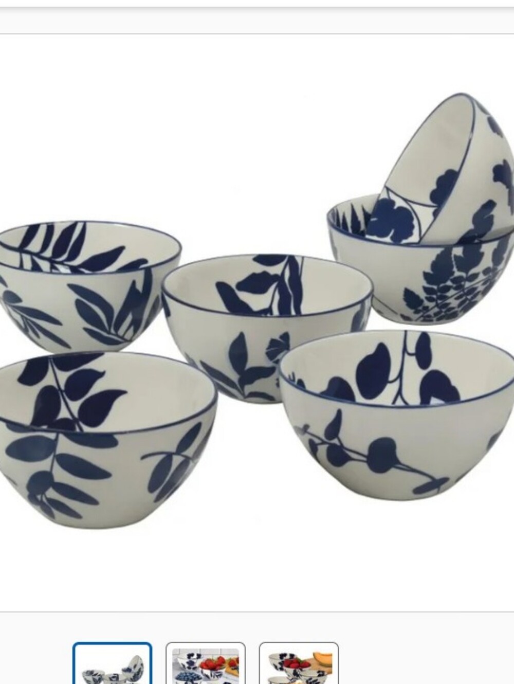 Arbor White and Black Stoneware Bowls with Botanical Design